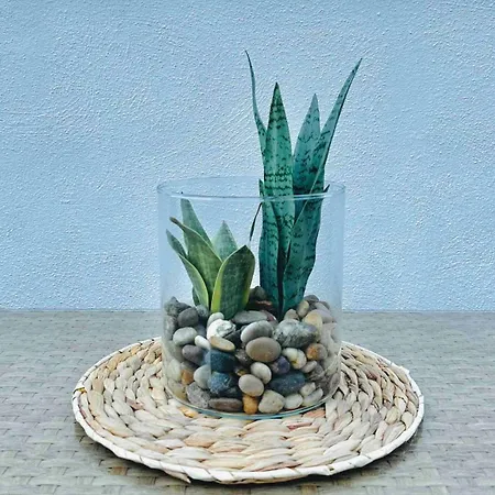 Grand Harbour Views *