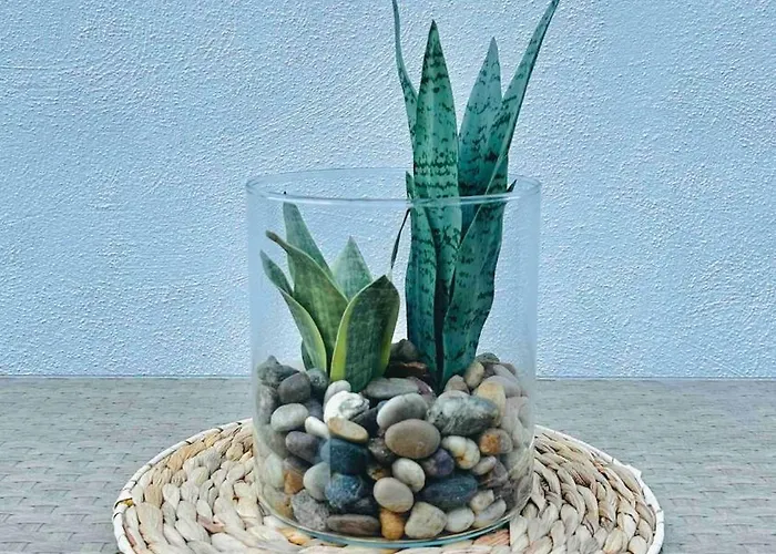 Grand Harbour Views *